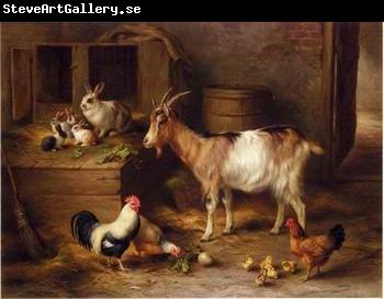 unknow artist poultry  188